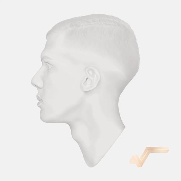 Виниловая пластинка Stromae Racine Carree 10th Anniversary Edition 2LP (32512668)