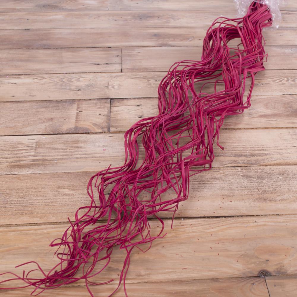 Ветки сушеные для декора Красный (5142-5)