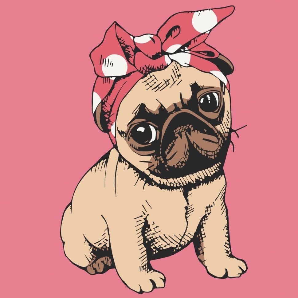 Картина по номерам ART CRAFT Мопсик 30x30 см Разноцветный (PM-194-K-1547)