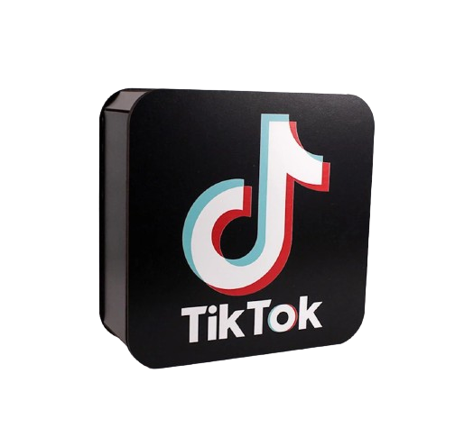 Коробка "TikTok" маленька (4040)