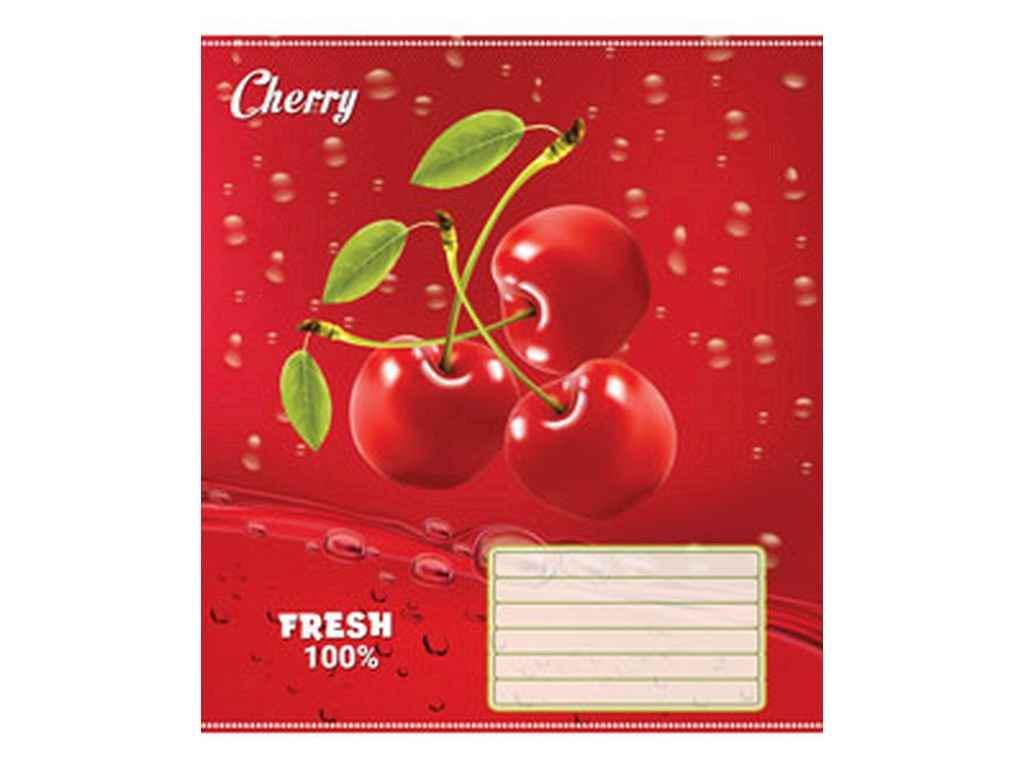 Тетрадь в линию Мечты сбываются 18 л. 20 шт. 3541л Свежесть (1067311)