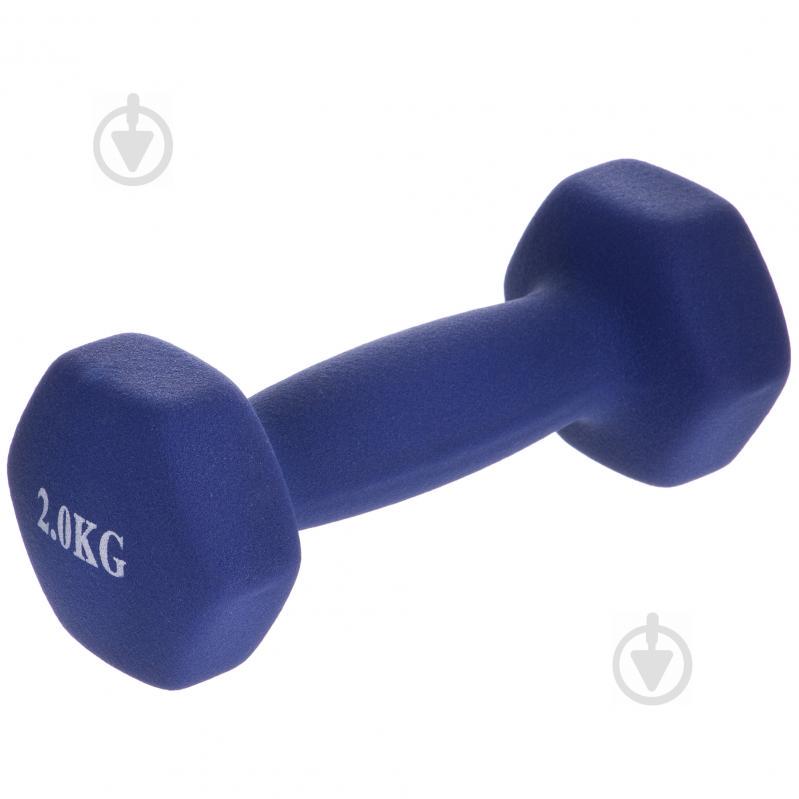 Гантели для фитнеса SP-Planeta Радуга TA-0001-2 2 Синий Гантели для фитнеса SP-Planeta Радуга TA-0001-2 2 Синий