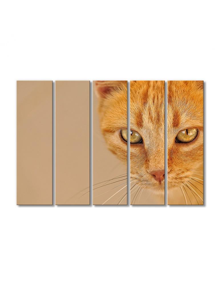 Картина модульная Рыжая хитрая кошка 5 модулей 90x135 см(Zhivotnye1810006)