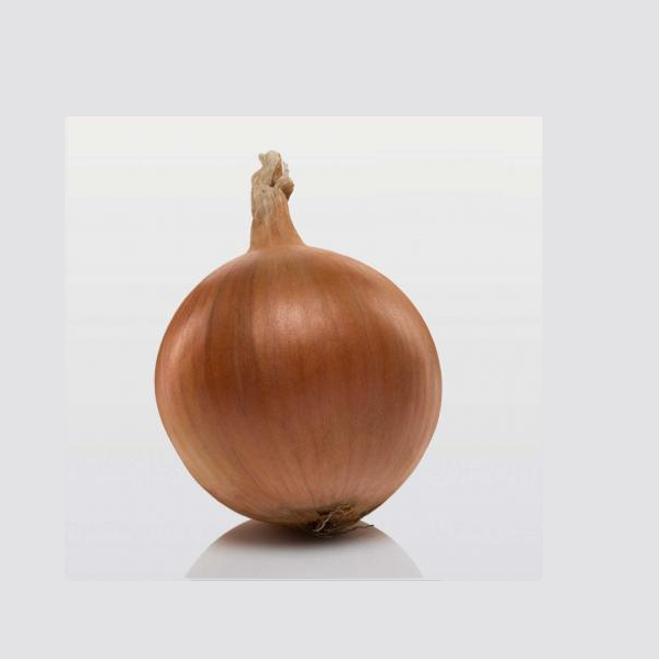 Цибуля сівок BroerB.V. Форум F1 10-21 мм 100 г (1881984383)