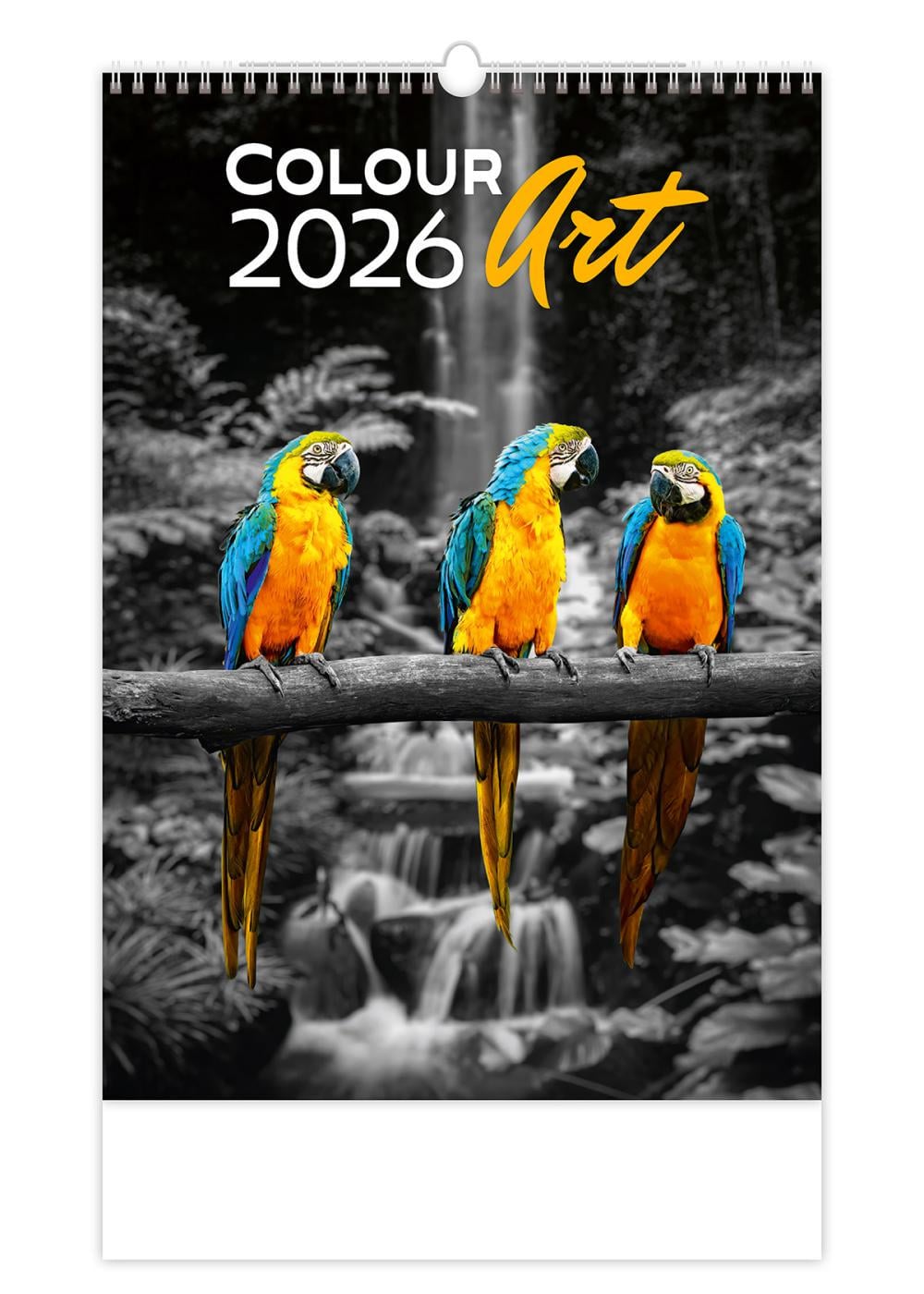 Календарь Helma 2026 Colour Art 31,5x45 см (N148-26)