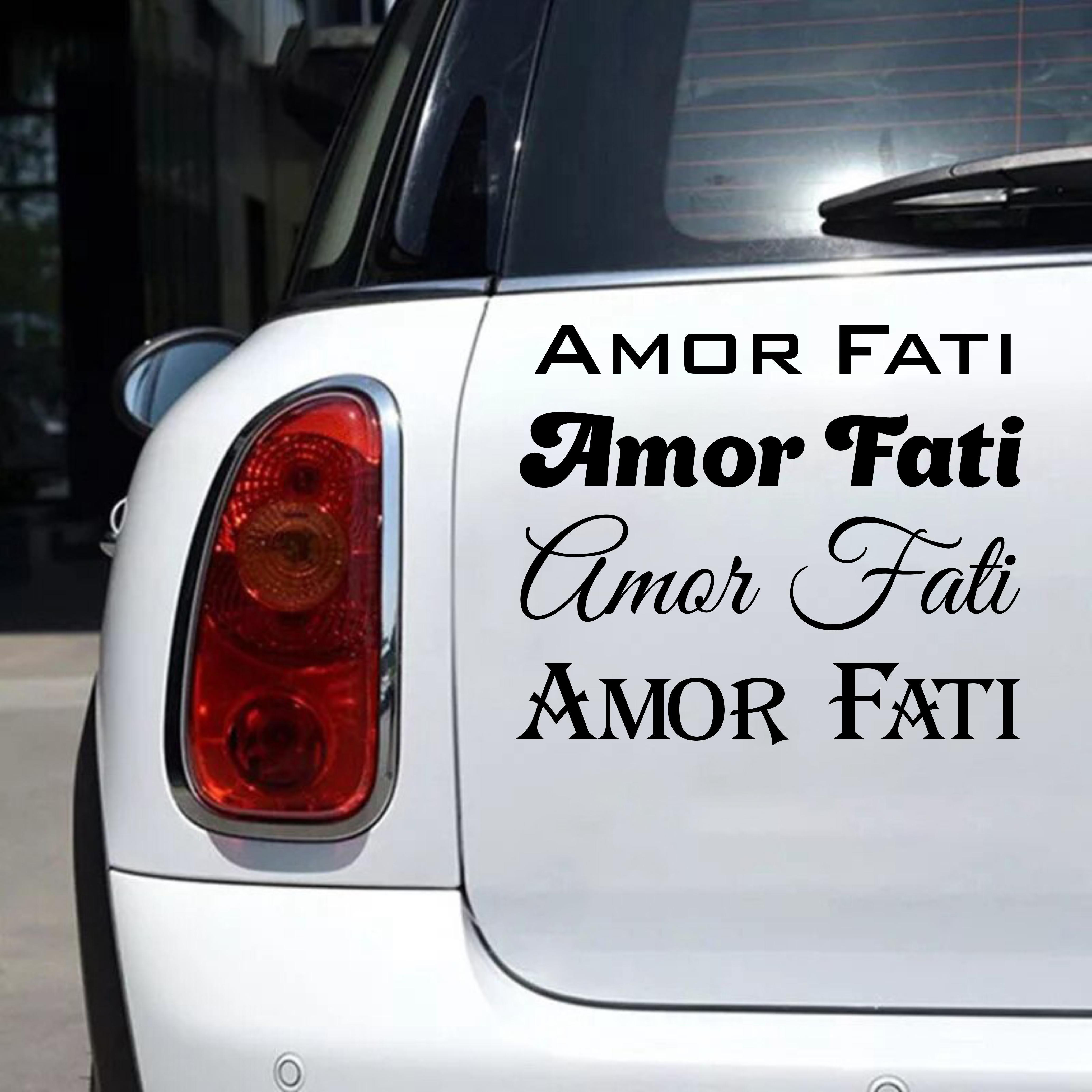 Наклейка на авто Oracal "Amor Fati" 30х4 см Чорний (NA000-55-b3) - фото 1