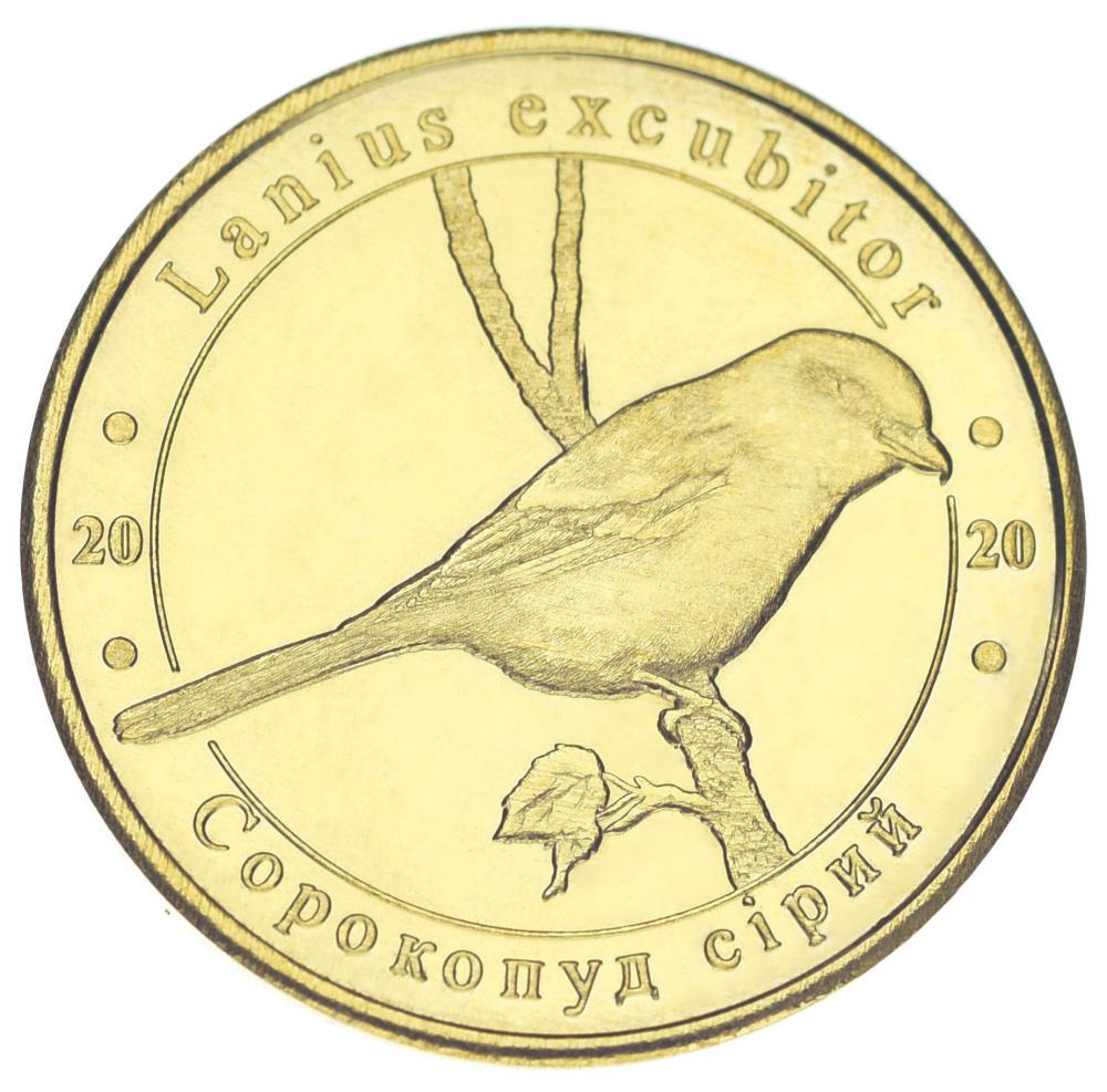 Коллекционная монета Украина 1 злотник 2020 UNC Красная книга Украины - Птица Сорокопут (М17502)