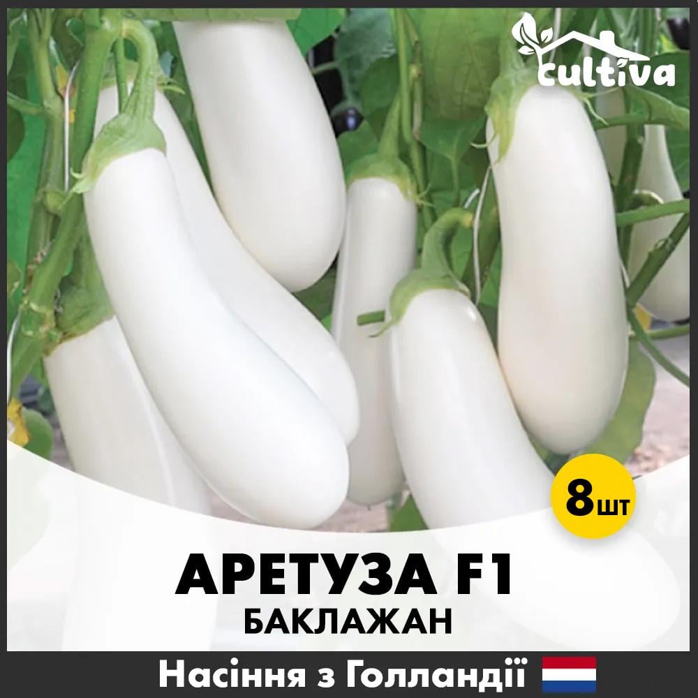 Семена баклажана Rijk Zwaan Аретуза F1 8 шт. (B1F1)