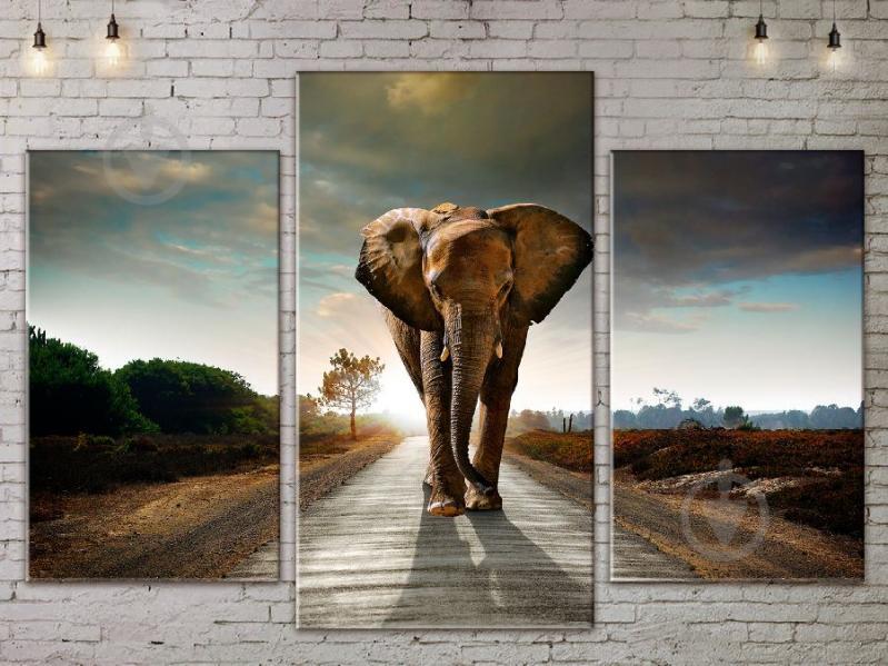 Модульная картина Слон ADJ0044 размер 45 х 70 см