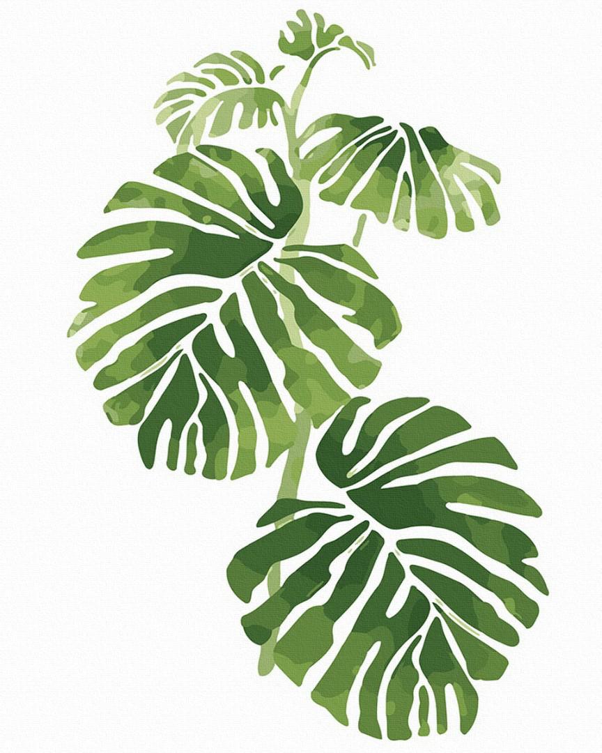 Картина по номерам Brushme Листья монстеры 40x50 см (GT61069)