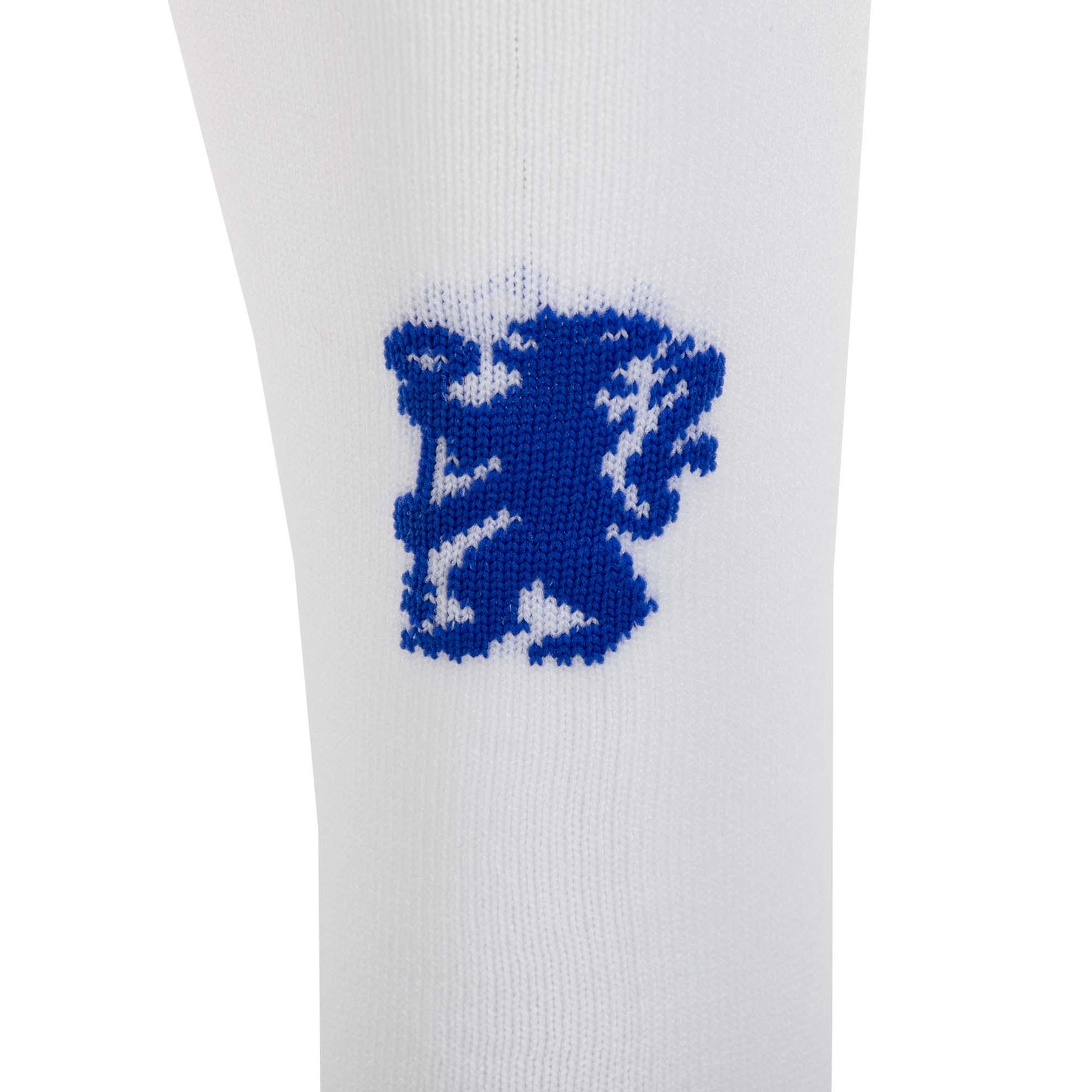 Гетри дитячі з символікою футбольного клубу SPOINT CHELSEA HOME 2025 ETM2518-CH1 р. 34-38 Білий (ETM2518-CH1) - фото 7 Гетри дитячі з символікою футбольного клубу SPOINT CHELSEA HOME 2025 ETM2518-CH1 р. 34-38 Білий (ETM2518-CH1) - фото 7