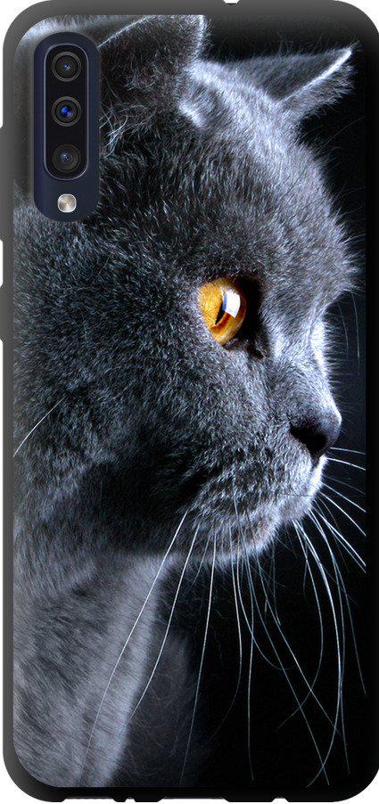 Чехол на Samsung Galaxy A30s A307F Красивый кот (3038b-1804-42517)