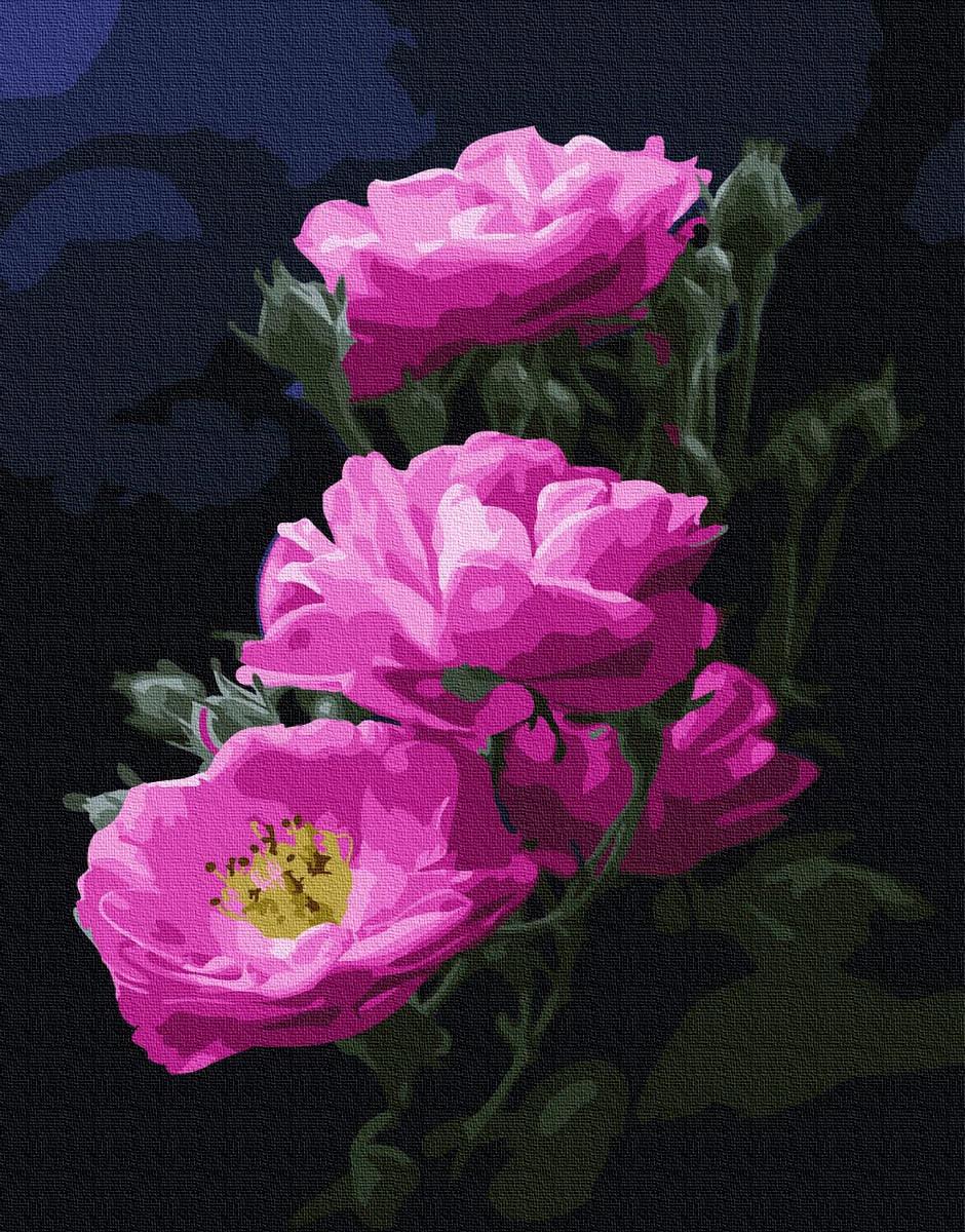 Картина по номерам Brushme Розовый шиповник 40х50 см (BRM24788)