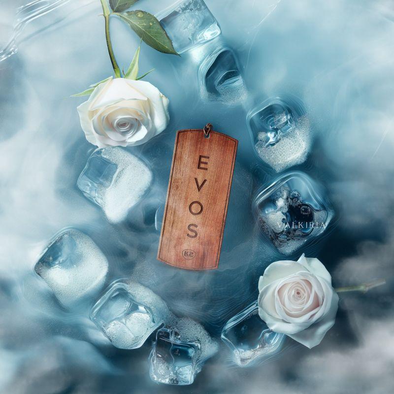 Ароматизатор для салона авто К2 Evos Grace Valkiria валькирия 4 г сухой - фото 3 Ароматизатор для салона авто К2 Evos Grace Valkiria валькирия 4 г сухой - фото 3