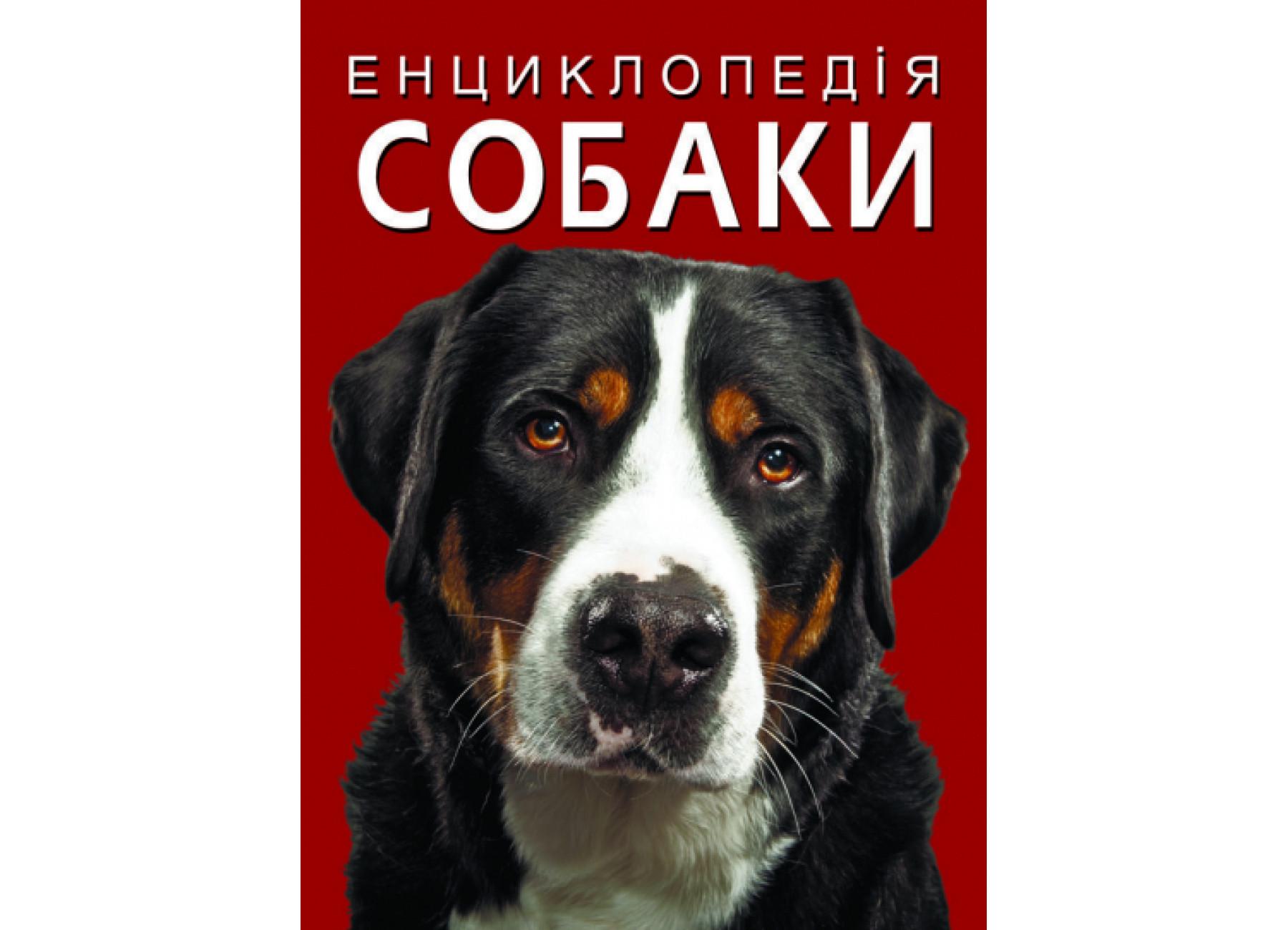 Енциклопедія Crystal Book "Собаки" F00028100 (9786175471067)