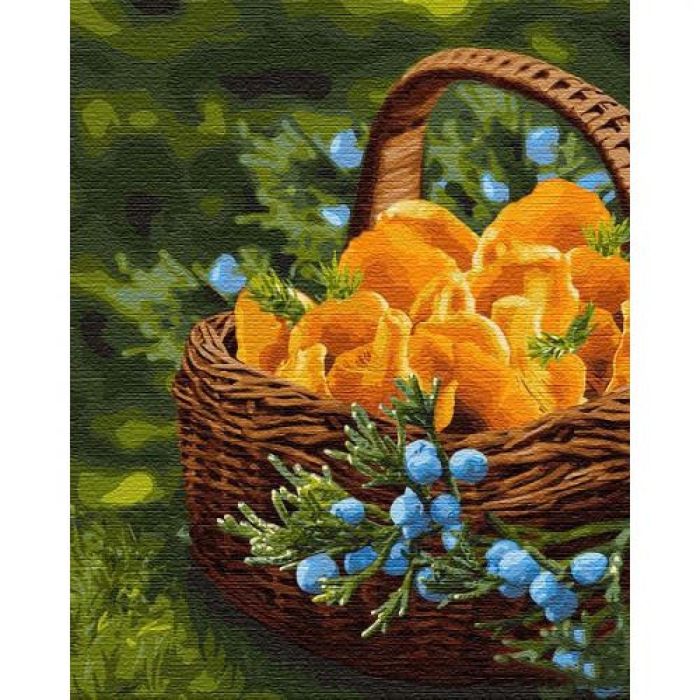 Картина по номерам Идейка Солнце в корзине КНО5602 холст на подрамнике 40x50 см (1330397149)