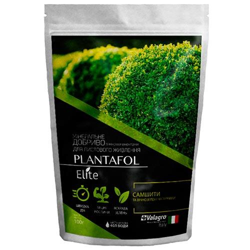 Удобрение минеральное комплексное Florium Plantafol Elite для самшита и вечнозеленых кустарников 100 г (NPK 20.20.20)