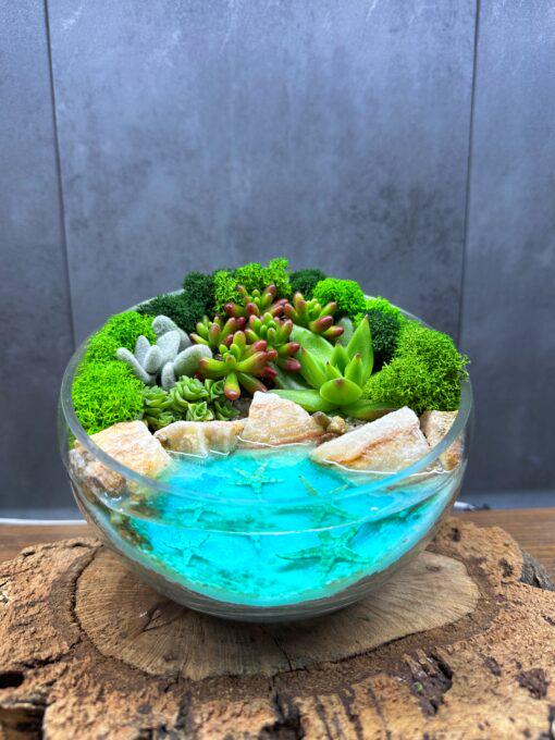 Флорариум с суккулентами и водой 14х13 см