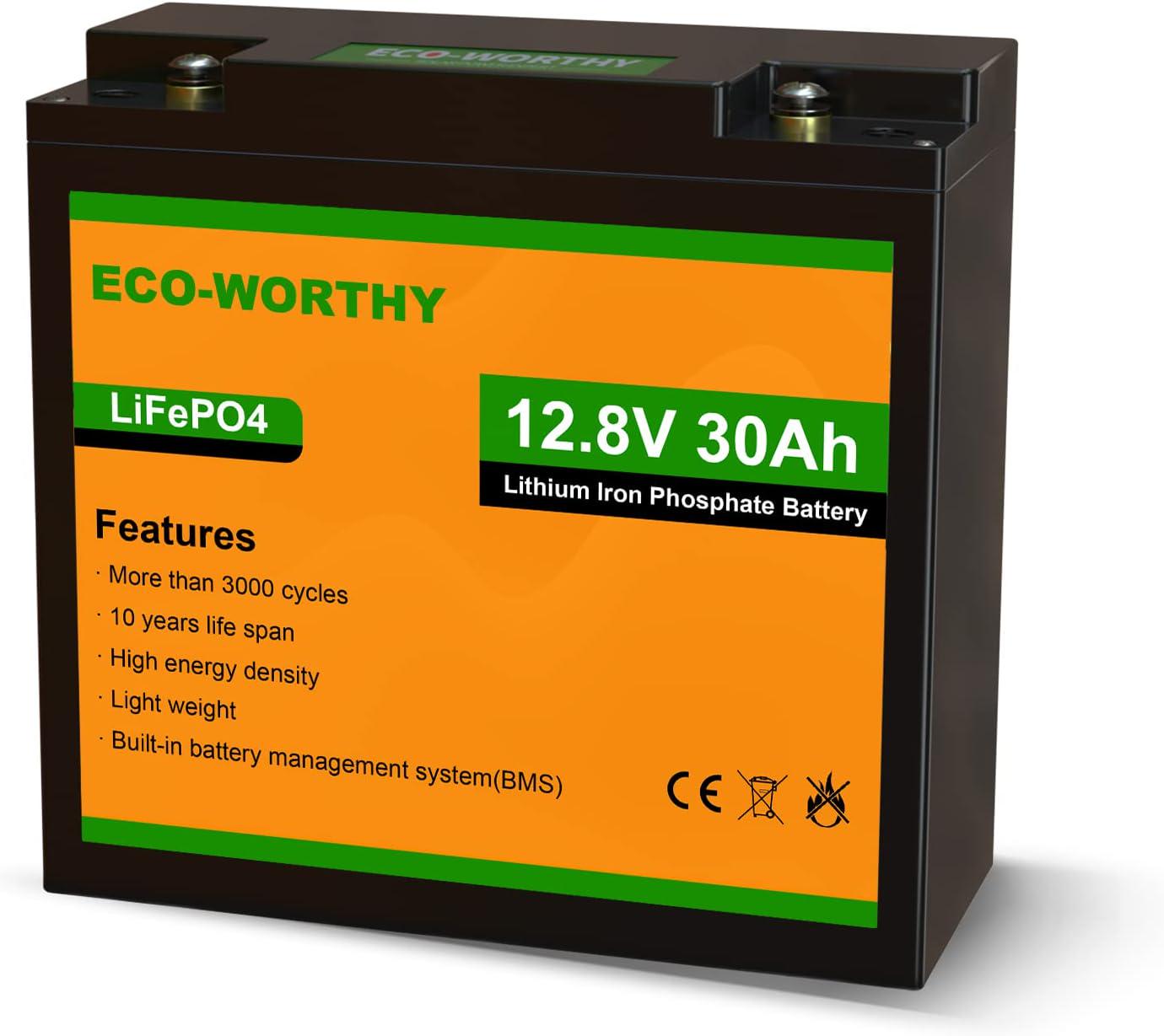 Акумулятор Eco Worthy LiFePO4 12V 30 Ah 384 Wh Чорний (000748)