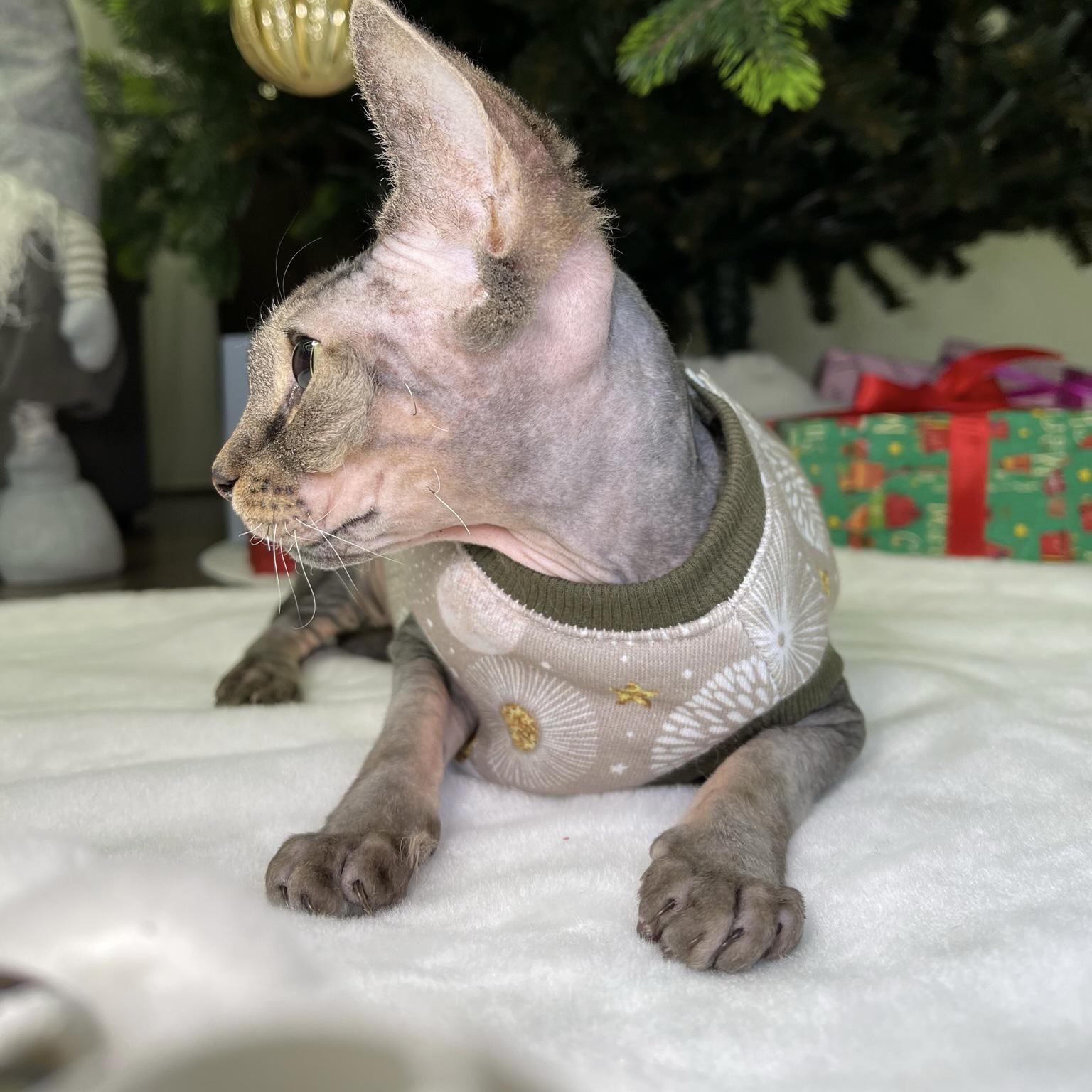 Кофта для котів без рукавів тепла Style Pets HNY2 toy Новорічна L (436L) - фото 7