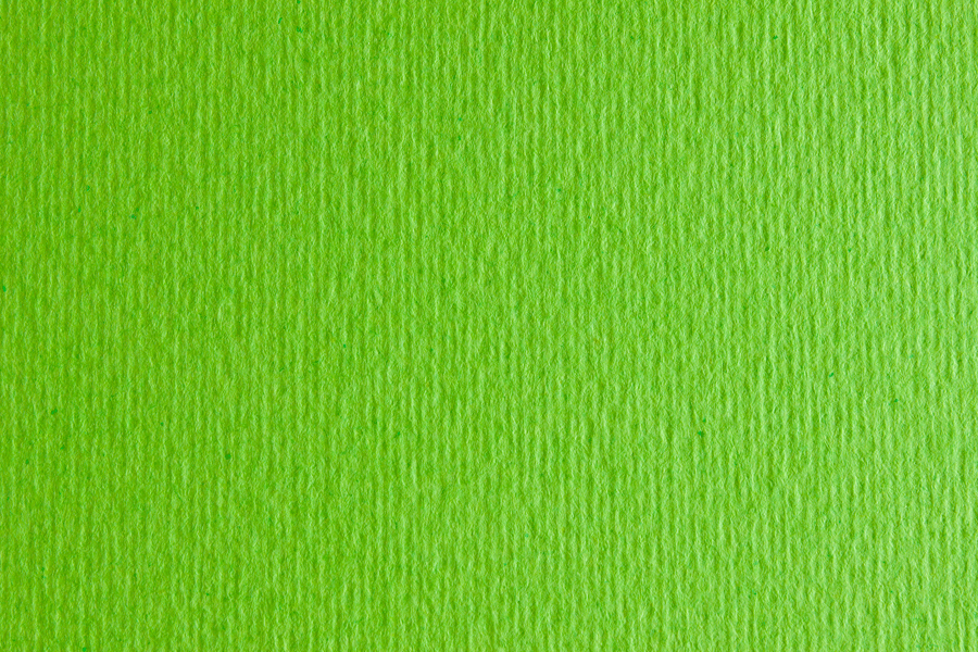Бумага для дизайна 16F41010 10 шт. 220 г/м2 две текстуры А4 21x29,7 см №10 Verde Picello Салатовый (4823064981476)