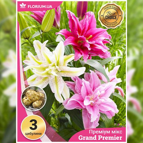 Лилии Florium Grand Premier супер-махровые (16698) - фото 3 Лилии Florium Grand Premier супер-махровые (16698) - фото 3