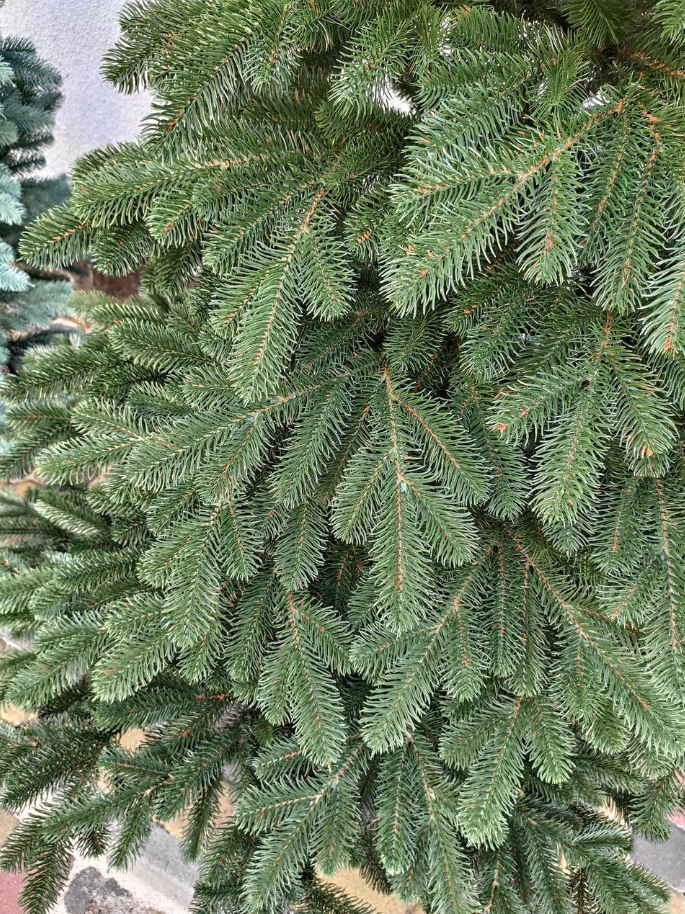 Штучна ялинка лита Елітна з підставкою 1,50 м Зелений (NYT15293) - фото 3 Штучна ялинка лита Елітна з підставкою 1,50 м Зелений (NYT15293) - фото 3