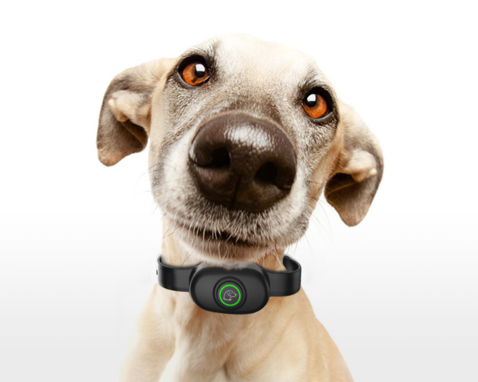 Нашийник електронний дресирувальний від гавкоту бобак PEDONO DOG-300 bark Orange (048) - фото 13