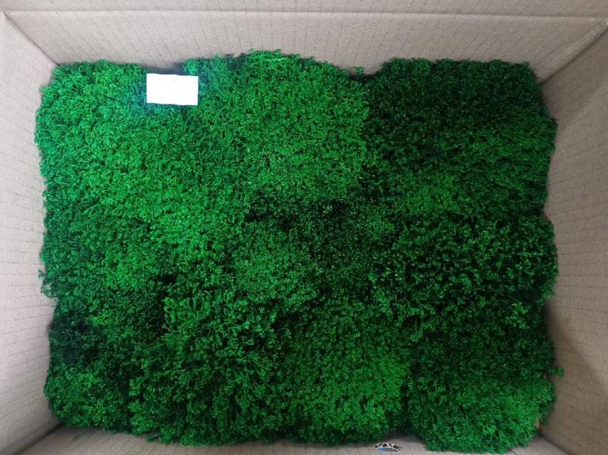 Стабилизированный украинский мох NaturalDark #4 05 кг