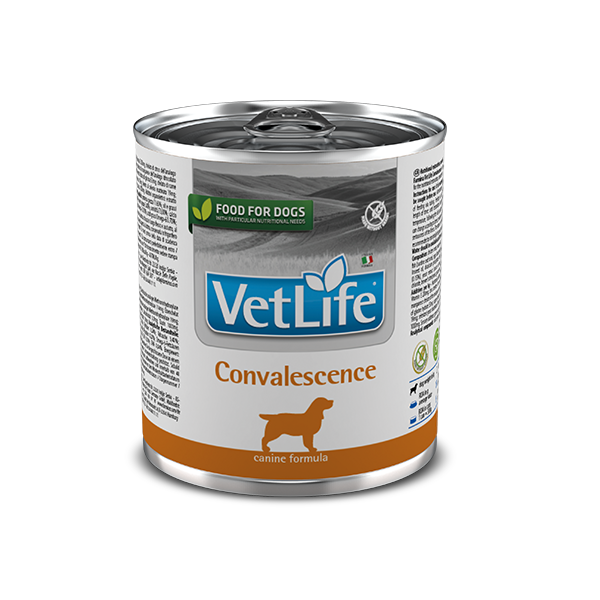 Корм влажный Farmina Vet Life Convalescence для собак диета для восстановления питания и выздоровления 300 г (2998381545)
