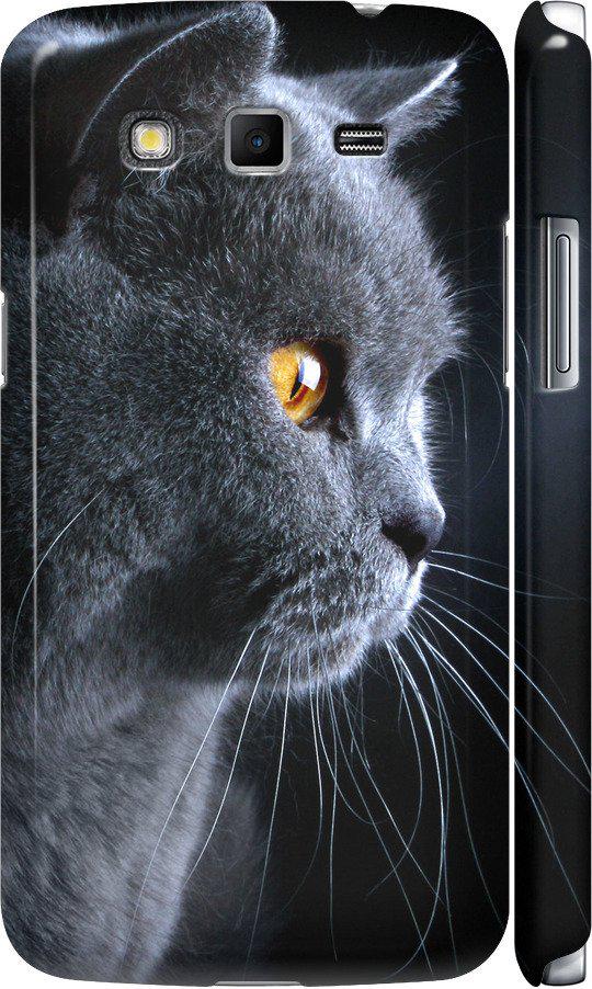Чехол на Samsung Galaxy Grand 2 G7102 Красивый кот (3038m-41-42517)