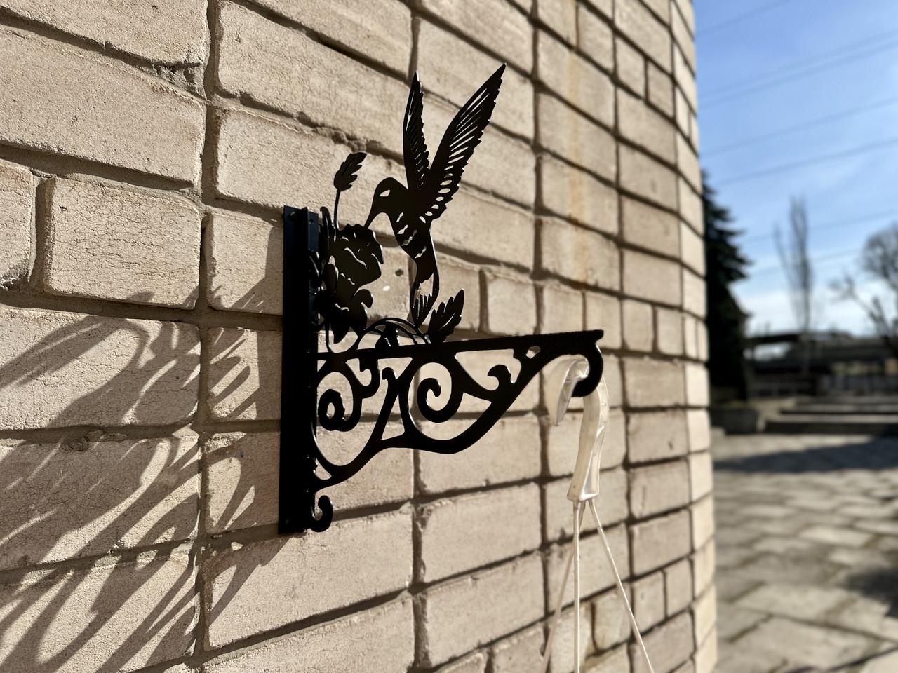 Кронштейн Колибри для кашпо с цветами метал Черный (Б009) - фото 7 Кронштейн Колибри для кашпо с цветами метал Черный (Б009) - фото 7