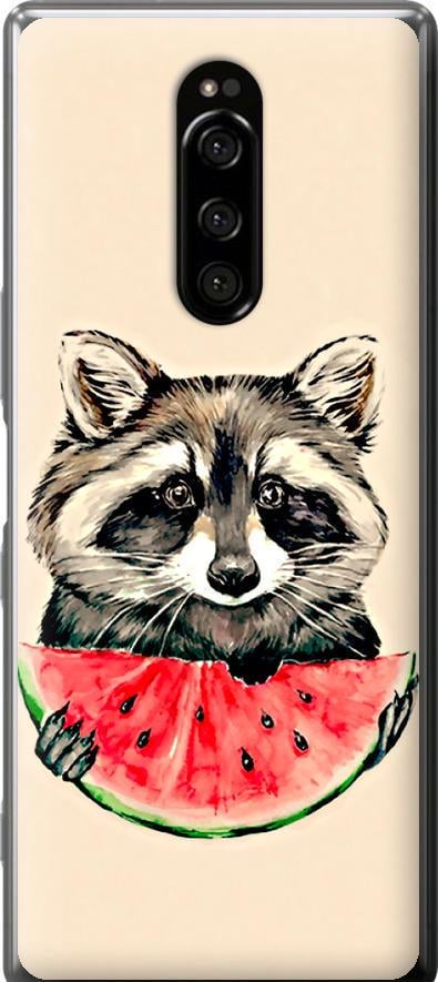 Чехол на Sony Xperia XZ4 Енотик с арбузом (4605u-1623-42517)