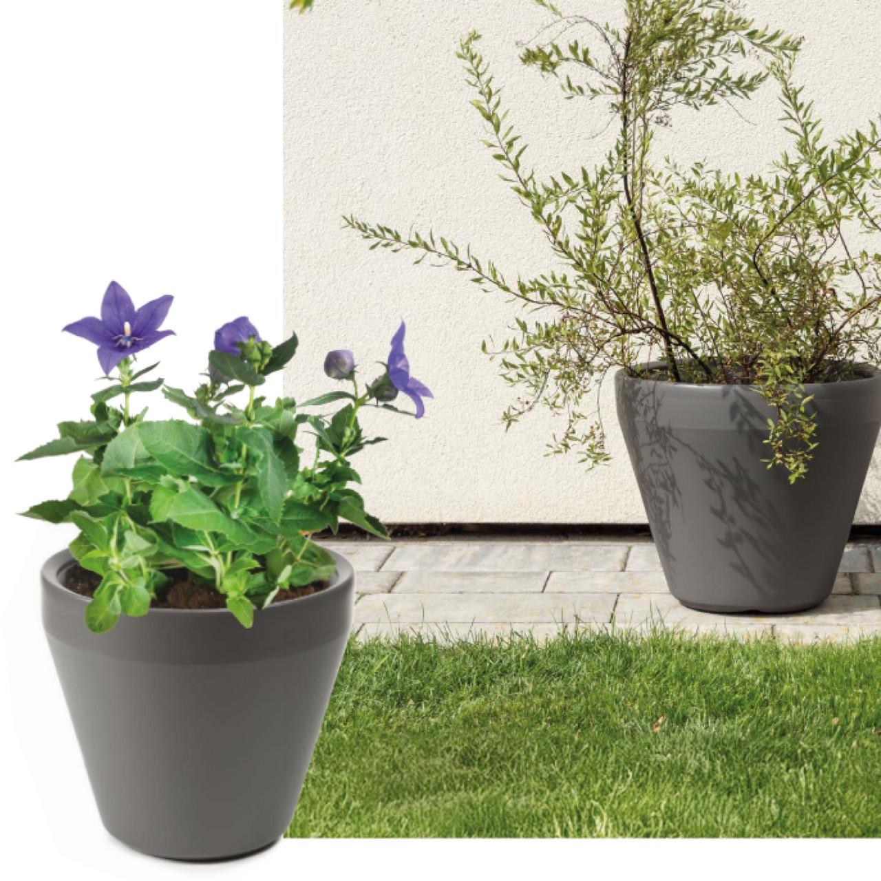 Вазон Lamela LIMA 554x494 мм Мокко (A-025873) - фото 2 Вазон Lamela LIMA 554x494 мм Мокко (A-025873) - фото 2