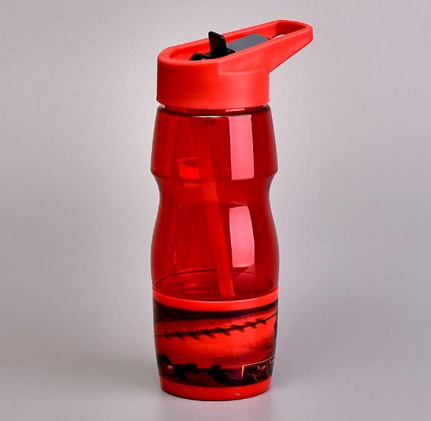 Пляшка-поїлка з трубочкою 600 мл (AN012701)