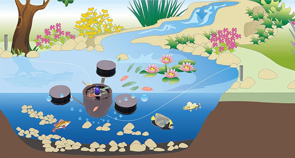 Скиммер прудовый Sunsun CSP 250 плавающий (693) - фото 5 Скиммер прудовый Sunsun CSP 250 плавающий (693) - фото 5