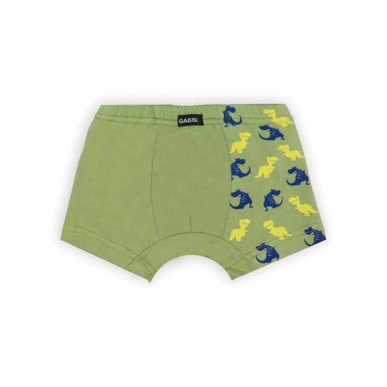 Труси-шорти дитячі бавовняні для хлопчика Gabbi SHM-22-2/1 104 см Оливковий (13243)