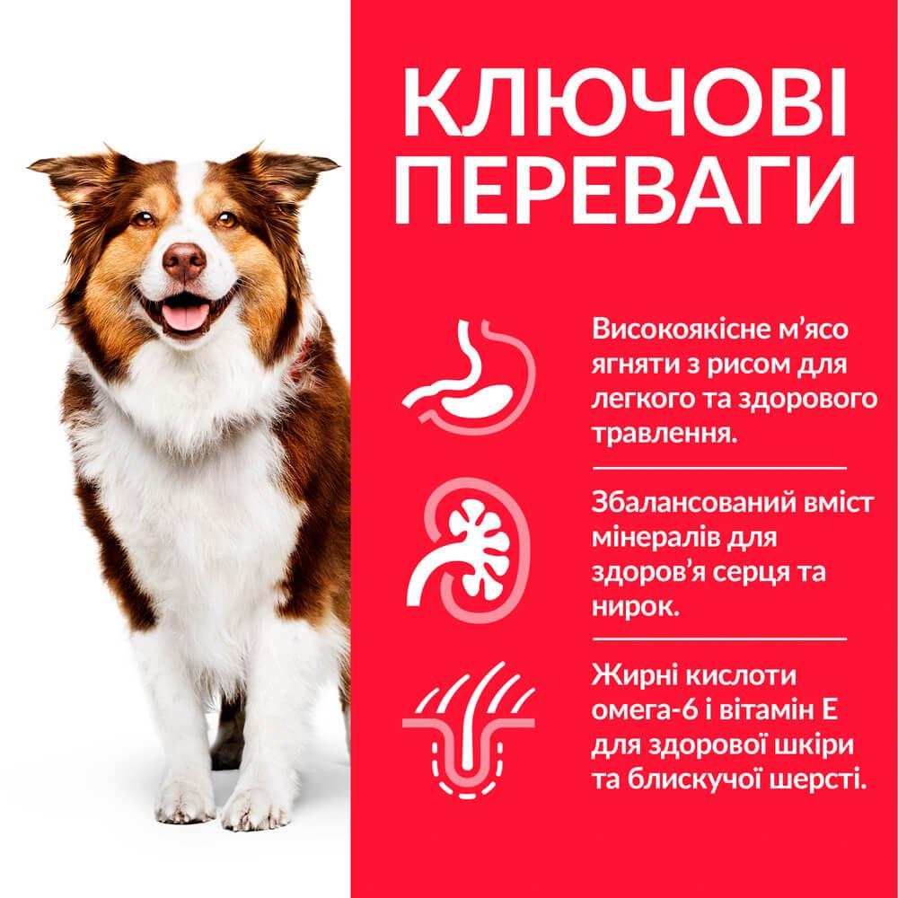 Корм для собак Hill’s SP Mature 7+ Medium Breed середніх порід від 7 років з ягням і рисом 14 кг - фото 3 Корм для собак Hill’s SP Mature 7+ Medium Breed середніх порід від 7 років з ягням і рисом 14 кг - фото 3