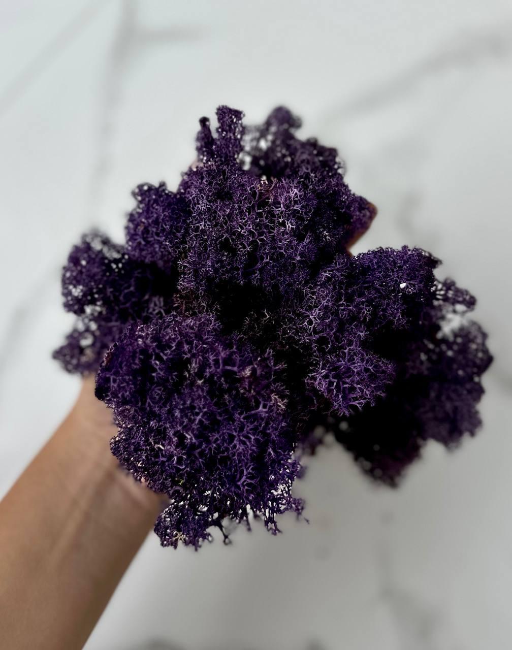 Стабилизированный мох Autumn (20698530) - фото 4 Стабилизированный мох Autumn (20698530) - фото 4