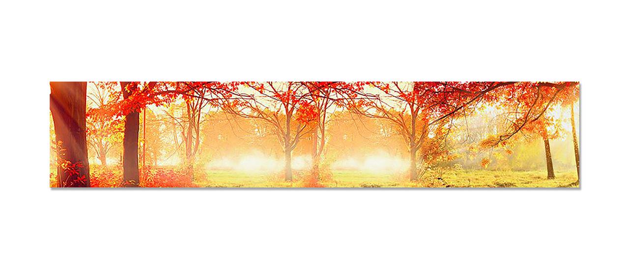 Наклейка виниловая на кухню Zatarga Солнечный Лес 600х3000 мм (1274514075) Наклейка виниловая на кухню Zatarga Солнечный Лес 600х3000 мм (1274514075)