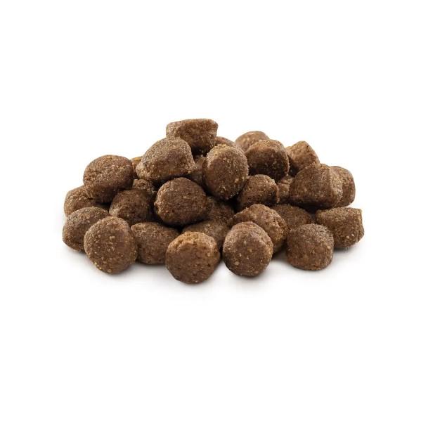 Сухой корм Brit Premium M для собак средних пород с курицей 8 кг (2423776437) - фото 3 Сухой корм Brit Premium M для собак средних пород с курицей 8 кг (2423776437) - фото 3