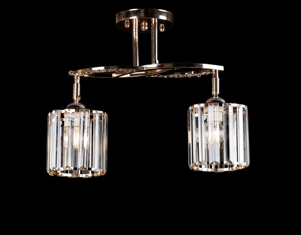 Люстра с плафонами Ray L9355/2 FGD (IR006037)