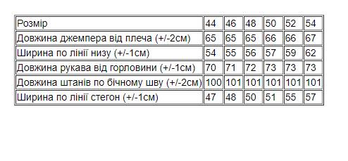 Костюм жіночий Носи своє р. 44 Коричневий (8332-057-v0) - фото 2