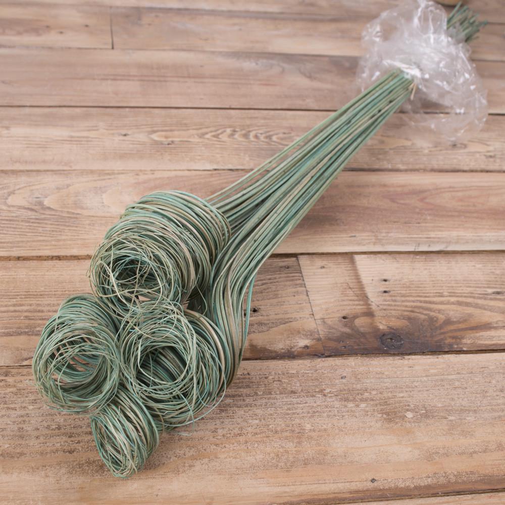 Сухоцвет спиральки Зеленый (2923-1)