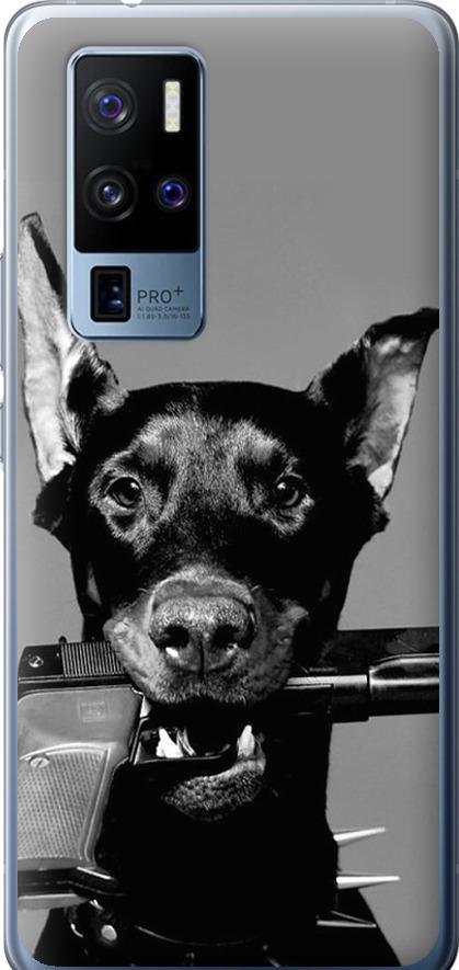 Чохол на Vivo X50 Pro Plus Доберман (2745u-2056-42517)