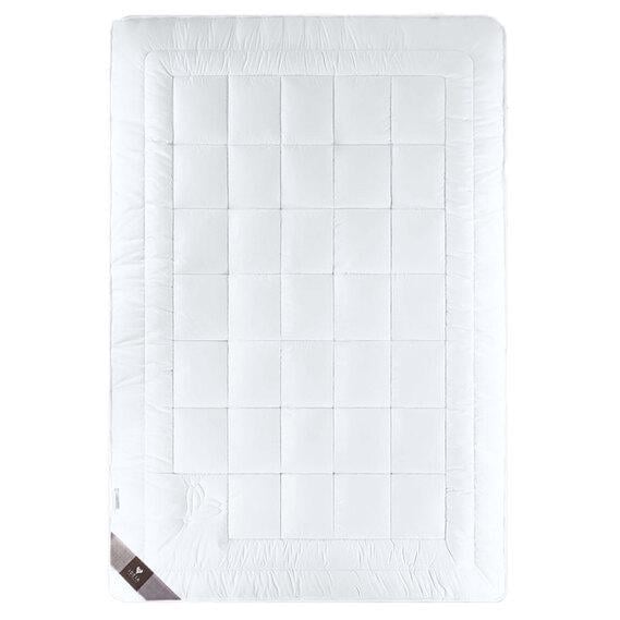 Одеяло всесезонное IDEIA Air Dream Premium антиаллергическое перкаль полуторное 140х210 см (10318) Одеяло всесезонное IDEIA Air Dream Premium антиаллергическое перкаль полуторное 140х210 см (10318)