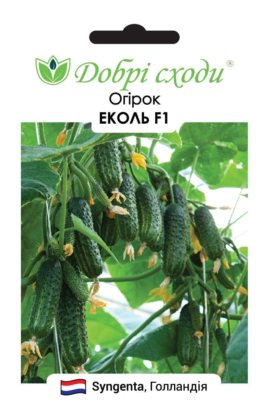 Насіння огірків Еколь F1 (3341) Насіння огірків Еколь F1 (3341)