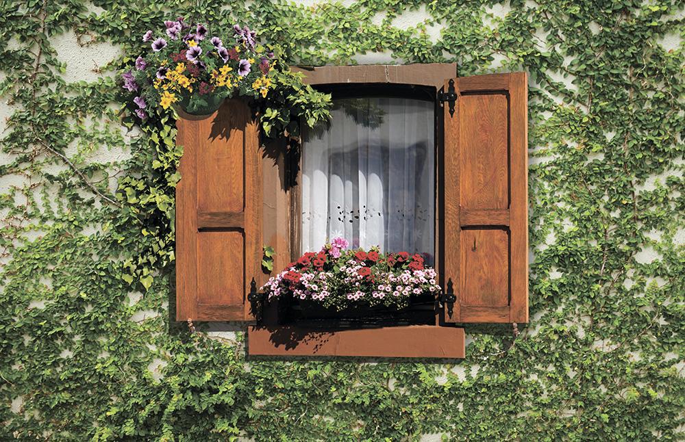 Фотосітка Вікна і плющ 800551 2х1,5 м