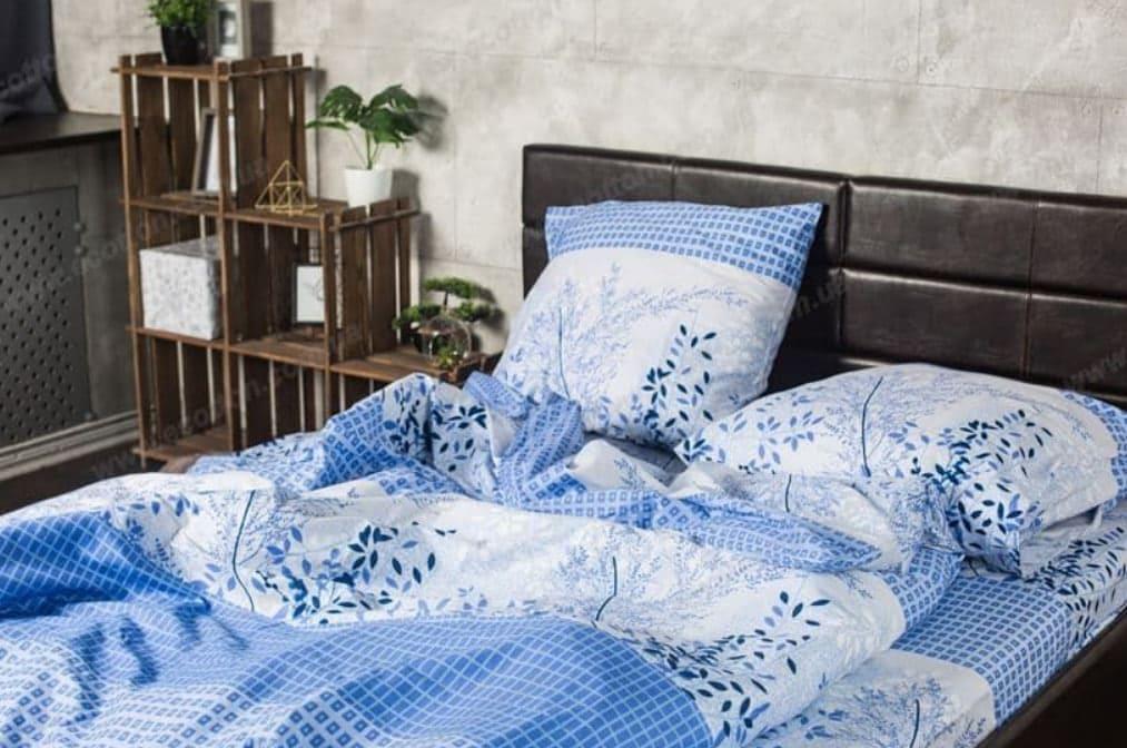 Комплект постільної білизни Ecotton Євро 210х220 см Блакитний (19641)