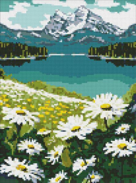 Алмазная мозаика Идейка Цветущие ромашки 30х40 см (AMO7803)